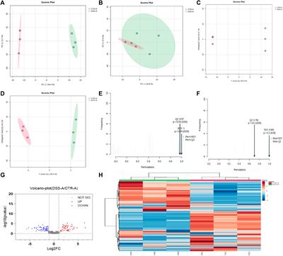 In-depth LC-MS and in-vitro studies of a triterpenoid saponin capilliposide-A metabolism modulation in gut microbiota of mice